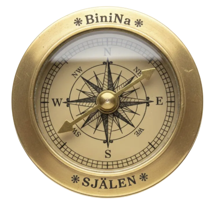 Binina Logo